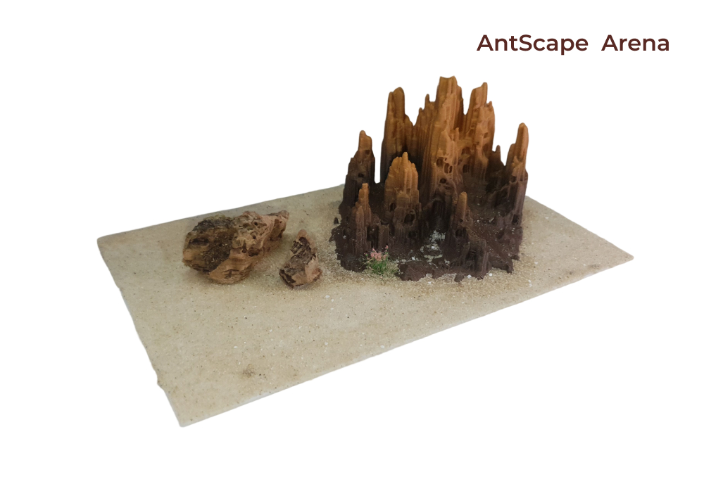 Декорация AntScape модуль «Arena»